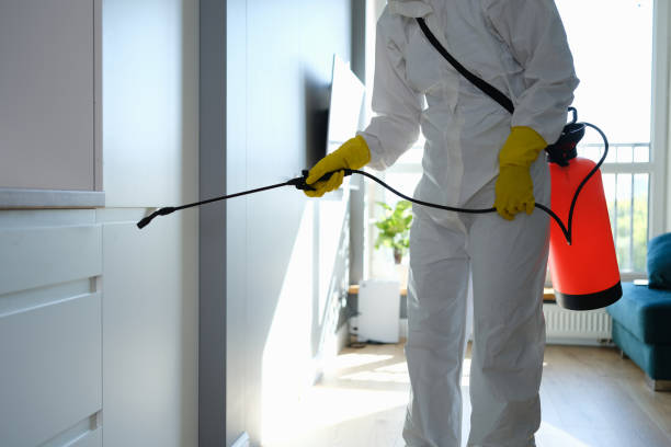 Best Home Mold Removal  in Saginaw, MI