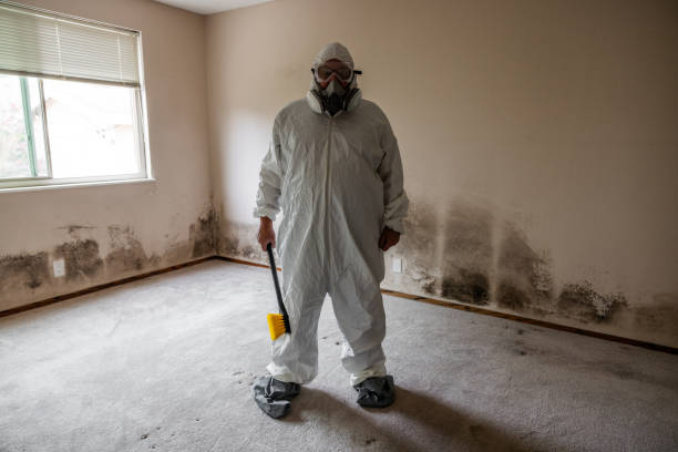 Best Mold Cleaning Services  in Saginaw, MI